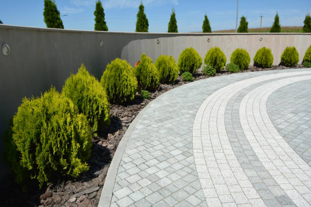 Best Driveway Pavers Cost  in Parkland, WA